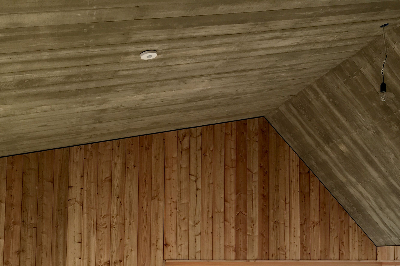 bild detail